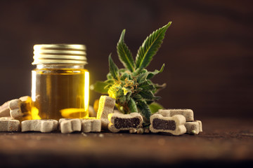 friandise cbd et huile cbd pour chien sur une table